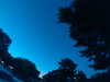 20240602224539-G0029186.JPG