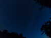 20240613042106-G0018138.JPG