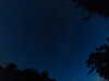 20240613042206-G0018142.JPG