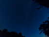 20240613042454-G0018153.JPG