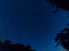 20240613042943-G0018172.JPG