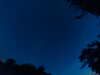 20240613043013-G0018174.JPG