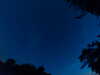 20240613043114-G0018178.JPG