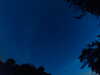 20240613043301-G0018185.JPG