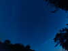 20240613043533-G0018195.JPG