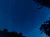 20240613043549-G0018196.JPG