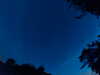 20240613043604-G0018197.JPG
