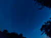 20240613043634-G0018199.JPG