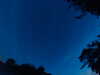 20240613043806-G0018205.JPG