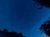 20240613043821-G0018206.JPG