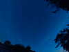20240613043851-G0018208.JPG