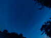 20240613043907-G0018209.JPG