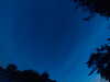 20240613044023-G0018214.JPG