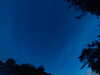 20240613044038-G0018215.JPG