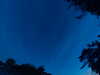 20240613044210-G0018221.JPG