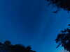 20240613044500-G0018233.JPG