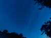 20240613044514-G0018234.JPG