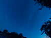 20240613044608-G0018238.JPG