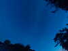 20240613044752-G0018246.JPG