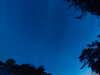20240613044954-G0018256.JPG