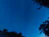 20240613045116-G0018263.JPG