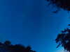 20240613045306-G0018273.JPG