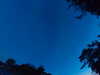 20240613045347-G0018277.JPG