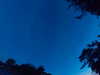 20240613045357-G0018278.JPG