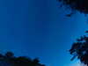 20240613045511-G0018286.JPG