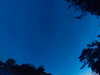 20240613045556-G0018291.JPG