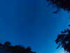 20240613045656-G0018298.JPG