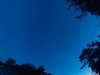 20240613045713-G0018300.JPG