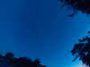 20240613050007-G0018322.JPG