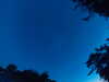 20240613050121-G0018332.JPG