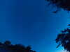 20240613050150-G0018336.JPG