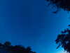 20240613050434-G0018360.JPG