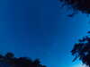 20240613050447-G0018362.JPG