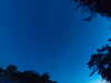 20240613050513-G0018366.JPG