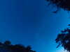 20240613050738-G0018389.JPG