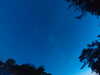 20240613051003-G0018413.JPG