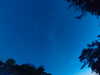 20240613051033-G0018418.JPG