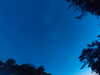 20240613051251-G0018442.JPG