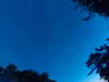20240613051348-G0018452.JPG
