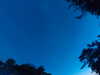 20240613051405-G0018455.JPG