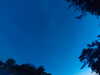 20240613051416-G0018457.JPG