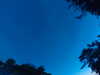 20240613051456-G0018464.JPG