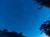 20240613051507-G0018466.JPG