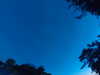 20240613051552-G0018474.JPG