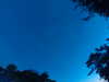 20240613051609-G0018477.JPG