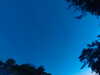 20240613051756-G0018496.JPG
